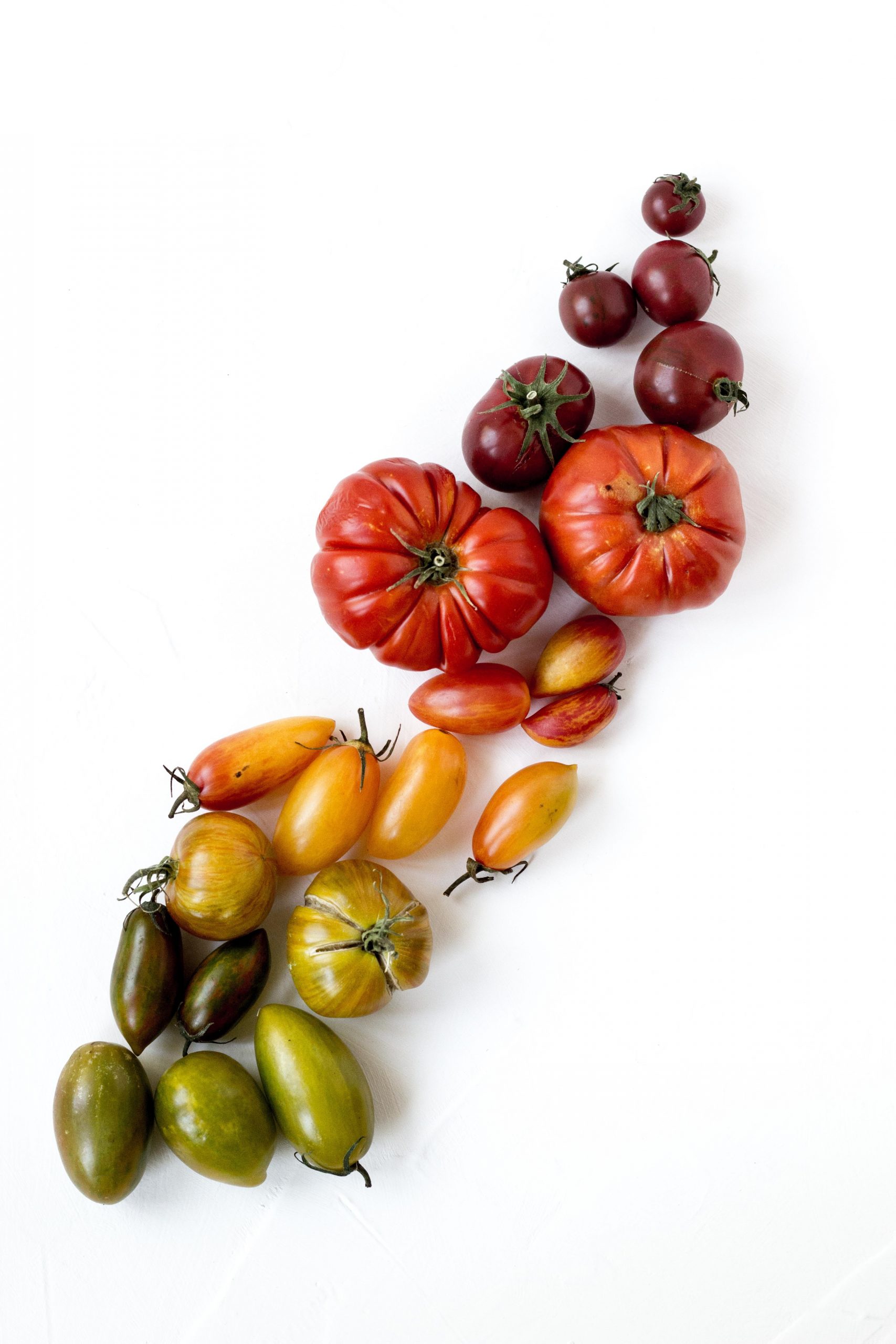 Tomatoes and peppers lined up